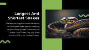 79442-Snake-PowerPoint-Template_16