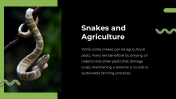 79442-Snake-PowerPoint-Template_17