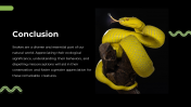 79442-Snake-PowerPoint-Template_20