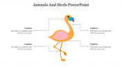 79486-Animals-And-Birds-PowerPoint-Template_21