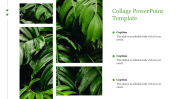 Download editable Collage PowerPoint Template Slide