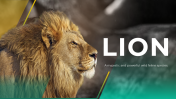 79604-Lion-PowerPoint-Template_01