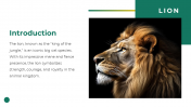 79604-Lion-PowerPoint-Template_02