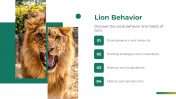 79604-Lion-PowerPoint-Template_05