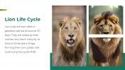 79604-Lion-PowerPoint-Template_10