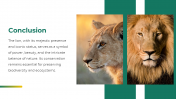 79604-Lion-PowerPoint-Template_15