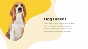 800072-Dog-Themed-PowerPoint-Template_02
