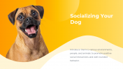 800072-Dog-Themed-PowerPoint-Template_07