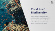 800104-Coral-Reef-PowerPoint-Template-Free_06