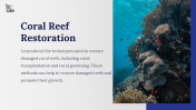 800104-Coral-Reef-PowerPoint-Template-Free_07