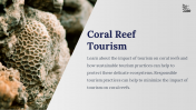 800104-Coral-Reef-PowerPoint-Template-Free_08