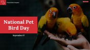 National Pet Bird Day Presentation and Google Slides Themes