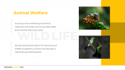 800417-National-Wildlife-Day_09