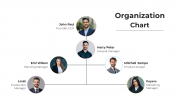 Elegant Organization Chart PPT And Google Slides Template