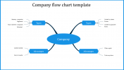 Company Flow Chart Template With Types Presentation