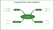 Attractive Company Flow Chart Template In Green Color Model