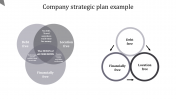 Download Unlimited Company Strategic Plan Example Templates