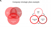 Immediately Download Company Strategic Plan Example