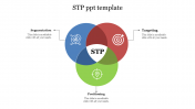 STP PPT Template For Presentation and Google Slides