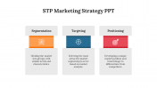 82386-STP-Marketing-Strategy-PPT_07