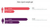 Use Affordable Sales Report Sample PPT Presentation