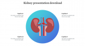 Kidney Presentation Download Free PowerPoint Slides