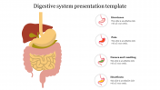 Best Digestive system presentation template 