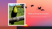 Attractive Birds PowerPoint Template For Your Needs