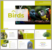Birds PowerPoint Presentation And Google Slides Themes