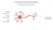 Amazing Neurons PowerPoint Template Presentation Design