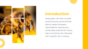 83294-Castes-Of-Honey-Bee-PowerPoint-Presentation_02