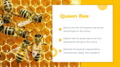 83294-Castes-Of-Honey-Bee-PowerPoint-Presentation_03