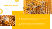 83294-Castes-Of-Honey-Bee-PowerPoint-Presentation_04