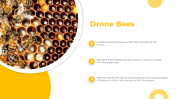 83294-Castes-Of-Honey-Bee-PowerPoint-Presentation_05