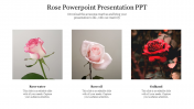 Simple Rose PowerPoint Presentation PPT Template Design