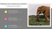 Creative Elephant PowerPoint Presentation For PPT Slides