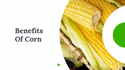 Benefits Of Corn PowerPoint and Google Slides Templates