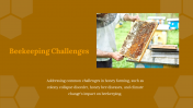 84358-Honey-Farming-Presentation-PPT_11