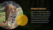 84399-International-Tiger-Day-PowerPoint-Slide_05