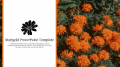 Marigold PowerPoint Template Presentation and Google Slides
