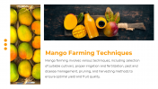 84509-Mango-PowerPoint-Template-Slide_11
