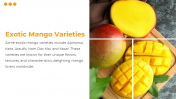84509-Mango-PowerPoint-Template-Slide_14