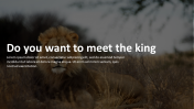 Creative Zoo PowerPoint and Google Slides Templates