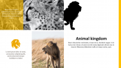 84640-Zoo-PowerPoint-Template_04