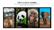 Editable Zoo Template Presentation Slide Designs PPT