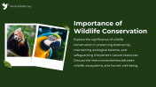 84656-World-Wildlife-Day-PowerPoint-PPT_03