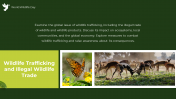 84656-World-Wildlife-Day-PowerPoint-PPT_05