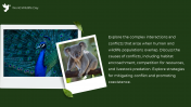 84656-World-Wildlife-Day-PowerPoint-PPT_06