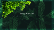 Ever-Green One Node Botany PPT Slides For Presentation