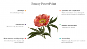 Effective Botany PowerPoint Presentation Slide